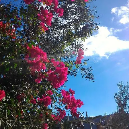 Hacienda Sol Trapiche (Malaga)
